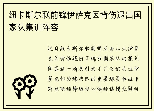 纽卡斯尔联前锋伊萨克因背伤退出国家队集训阵容